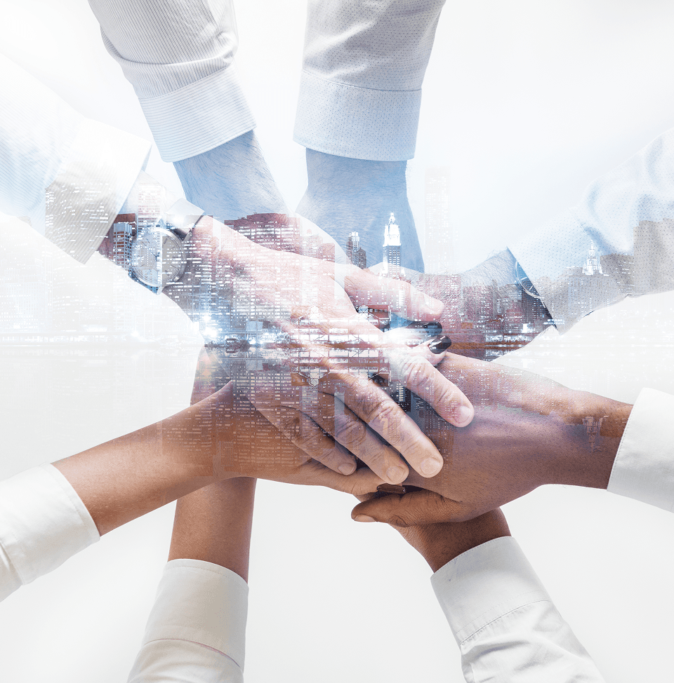 Contact Us and partner with us for all your import, distribution and retail needs